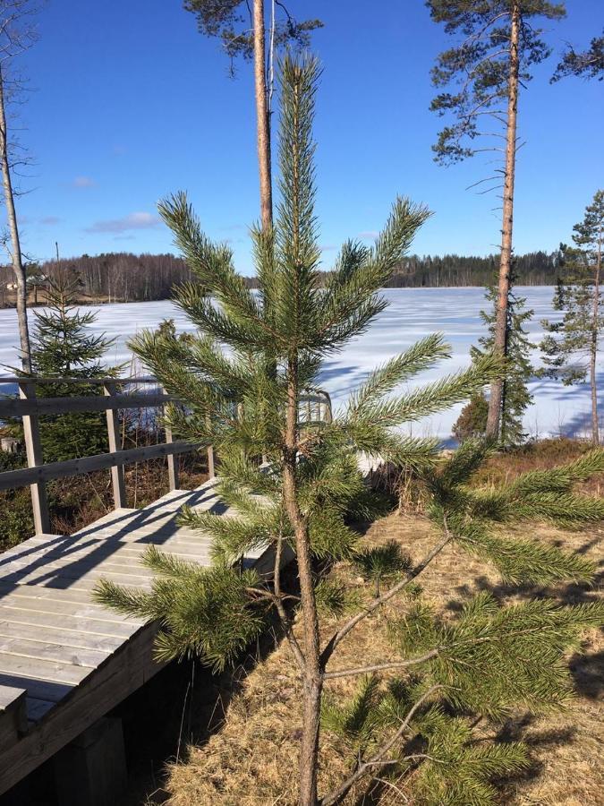 Vita Ruokolahti 1-2 Exteriér fotografie
